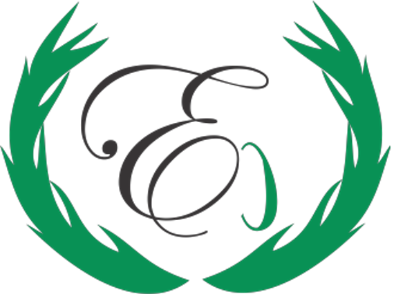 Ecolyte Systems